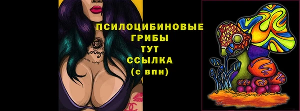 соль ск Абдулино