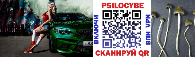 Псилоцибиновые грибы Cubensis  дарнет шоп  Карасук 