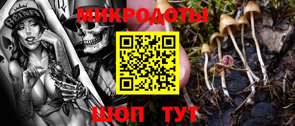 Псилоцибиновые грибы GOLDEN TEACHER Карасук