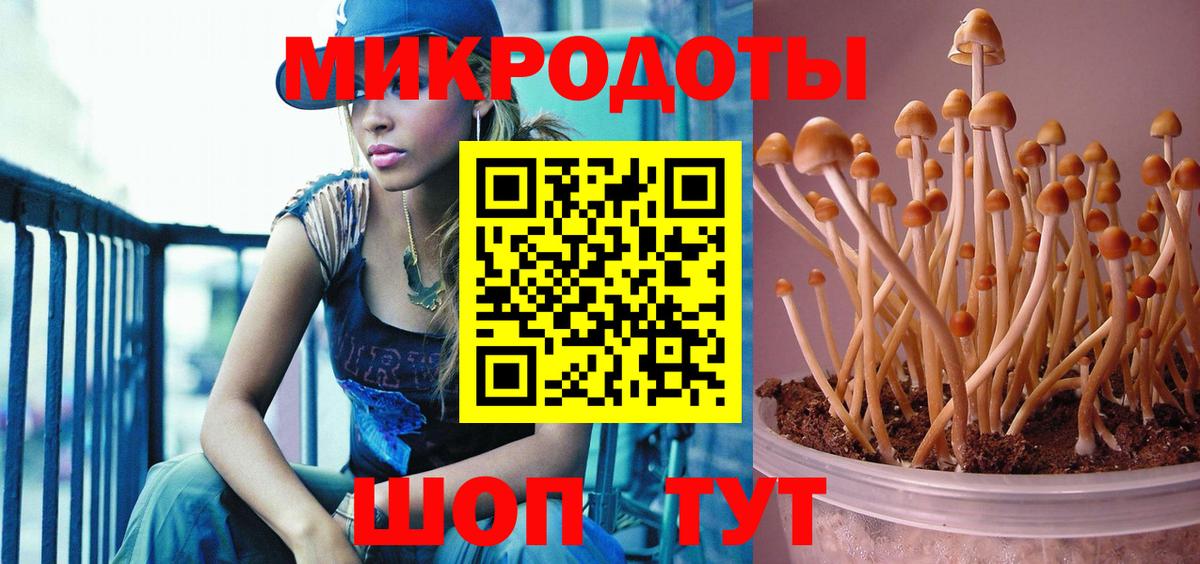 Галлюциногенные грибы Psilocybe  Галлюциногенные грибы Psilocybe  Карасук  где купить наркоту  Вход с VPN 